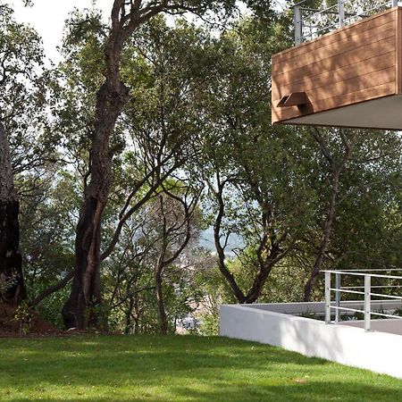 Residence Hoteliere Alcyon Porto-Vecchio  Bagian luar foto